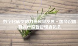 数字化转型助力高质量发展－国务院国有资产监督管理委员会