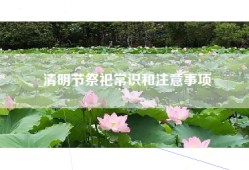 清明节祭祀常识和注意事项