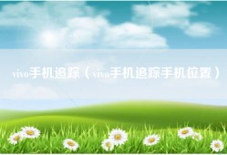 vivo手机追踪（vivo手机追踪手机位置）
