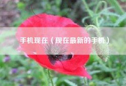 手机现在（现在最新的手机）