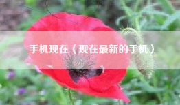 手机现在（现在最新的手机）