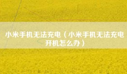小米手机无法充电（小米手机无法充电开机怎么办）