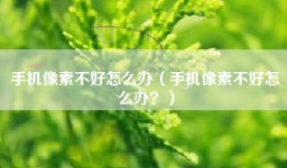 手机像素不好怎么办（手机像素不好怎么办？）