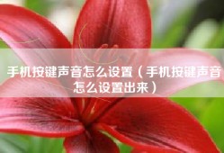 手机按键声音怎么设置（手机按键声音怎么设置出来）
