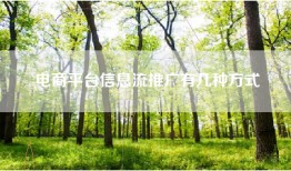 电商平台信息流推广有几种方式