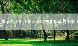 带gps的手机（带gps的手机相机软件下载）