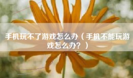 手机玩不了游戏怎么办（手机不能玩游戏怎么办？）