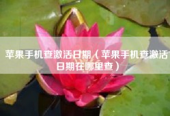 苹果手机查激活日期（苹果手机查激活日期在哪里查）