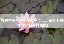 好物推荐！一不小心挣了773，每天不到3小时，新手就能做！