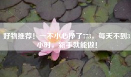 好物推荐！一不小心挣了773，每天不到3小时，新手就能做！