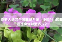 春节入选联合国非遗名录，中国的44项非遗瑰宝你知道多少？