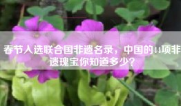 春节入选联合国非遗名录，中国的44项非遗瑰宝你知道多少？