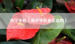 苏宁手机（苏宁手机是正品吗）