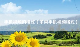 手机视频的格式（苹果手机视频格式）