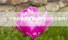 一、只有百度在搜索公众平台的文章吗？