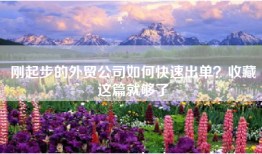 刚起步的外贸公司如何快速出单？收藏这篇就够了