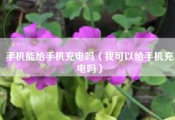 手机能给手机充电吗（我可以给手机充电吗）