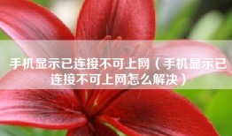 手机显示已连接不可上网（手机显示已连接不可上网怎么解决）