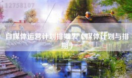 自媒体运营计划排期表（媒体计划与排期）