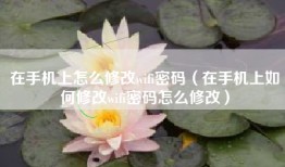 在手机上怎么修改wifi密码（在手机上如何修改wifi密码怎么修改）