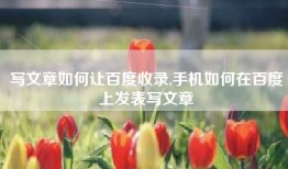 写文章如何让百度收录,手机如何在百度上发表写文章