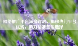 网络推广平台深度评测，揭秘热门平台优劣，助力精准营销选择