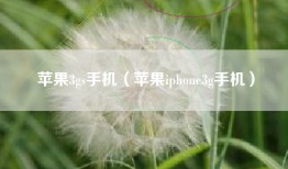 苹果3gs手机（苹果iphone3g手机）