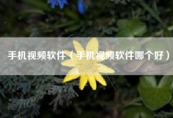 手机视频软件（手机视频软件哪个好）