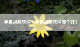手机视频软件（手机视频软件哪个好）