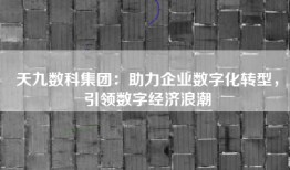天九数科集团：助力企业数字化转型，引领数字经济浪潮