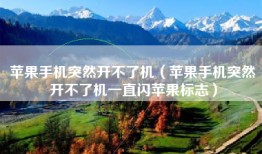 苹果手机突然开不了机（苹果手机突然开不了机一直闪苹果标志）