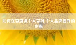 如何在百度发个人百科 个人品牌提升的步骤
