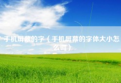 手机屏幕的字（手机屏幕的字体大小怎么调）