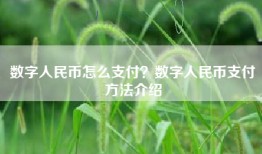 数字人民币怎么支付？数字人民币支付方法介绍