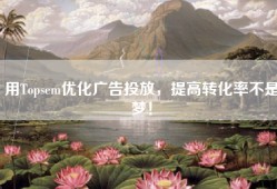 用Topsem优化广告投放，提高转化率不是梦！