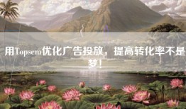 用Topsem优化广告投放，提高转化率不是梦！