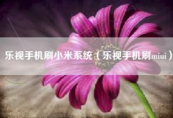 乐视手机刷小米系统（乐视手机刷miui）