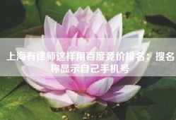 上海有律师这样用百度竞价排名：搜名称显示自己手机号