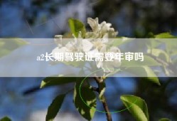 a2长期驾驶证需要年审吗
