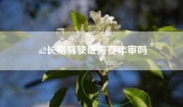 a2长期驾驶证需要年审吗