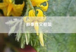 叙事作文框架