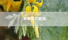 叙事作文框架