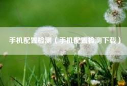 手机配置检测（手机配置检测下载）