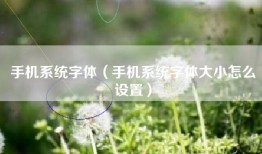 手机系统字体（手机系统字体大小怎么设置）