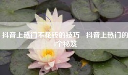 抖音上热门不花钱的技巧   抖音上热门的4个秘笈