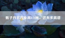甄子丹官方身高1.74米，这有多离谱