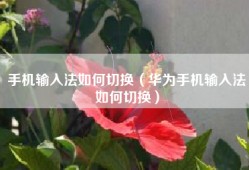手机输入法如何切换（华为手机输入法如何切换）