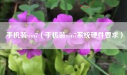 手机装win7（手机装win7系统硬件要求）