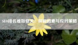 SEO排名难如登天：探析因素与应对策略