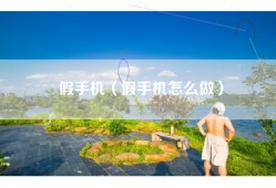 假手机（假手机怎么做）